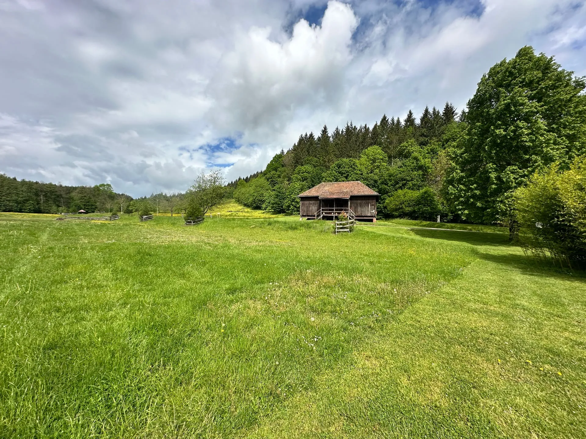 Weite Wiese mit Fachwerkhütte und Wald am Waldjugendzeltplatz Baierbacher Hof